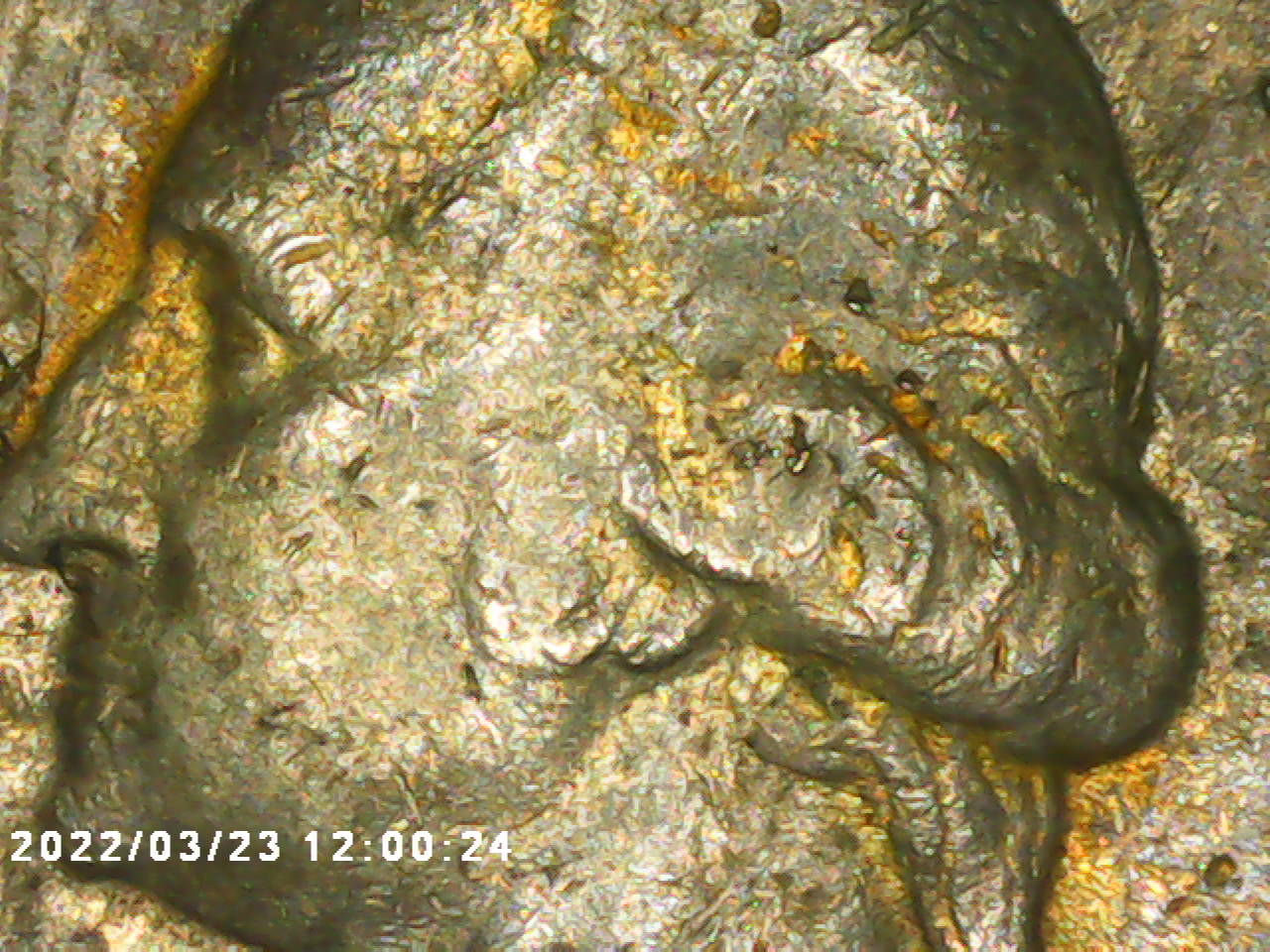1987-US-Quarter-Mixed-Planchet-Gold?